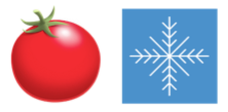 Tomates hiver